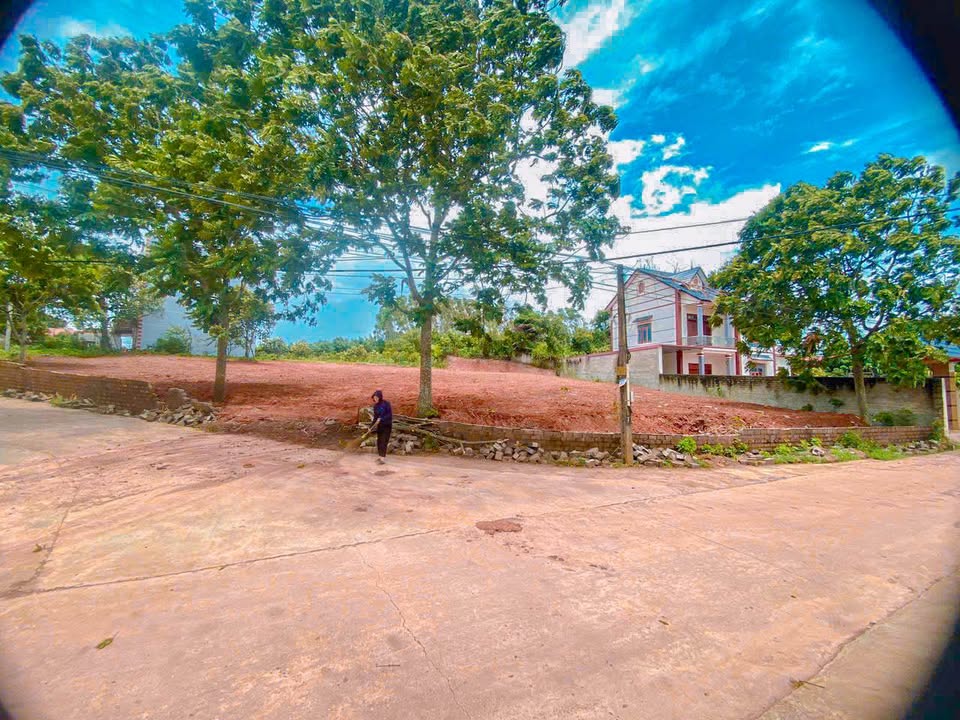 Đất Vàng Bảo Sơn Lục Nam 500m² - Chính Chủ Hạ Giá Sập Sàn