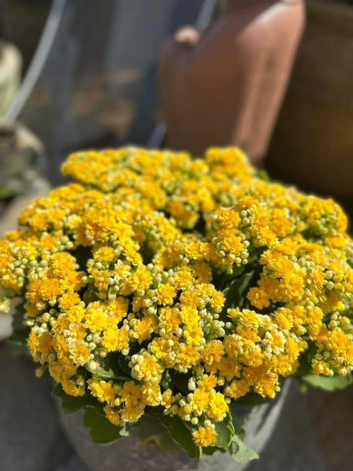 Nhà Mặt Tiền Kinh Doanh Đường Số 6, Thủ Đức - 3 Tầng, 3.05 Tỷ