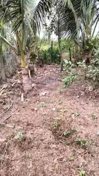 Bán nhà Krông Pắc 400m² giá 1.45 tỷ - Chính chủ bán gấp!