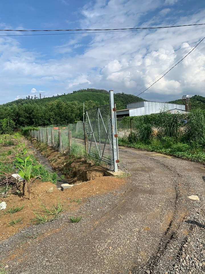 Đất nền Suối Nho Định Quán 1008m² - Giá đầu tư tốt!