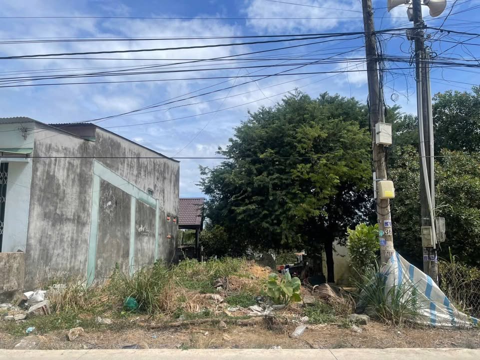 Đất Mặt Tiền Đinh Tiên Hoàng Trảng Bom - 116m² Thổ Cư Giá 1.75 Tỷ