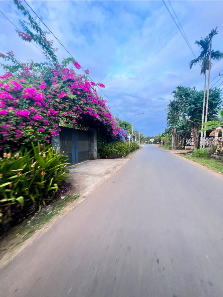 Đất nền Bình Lộc Long Khánh 306m² - Sổ đỏ chính chủ, đường nhựa ô tô