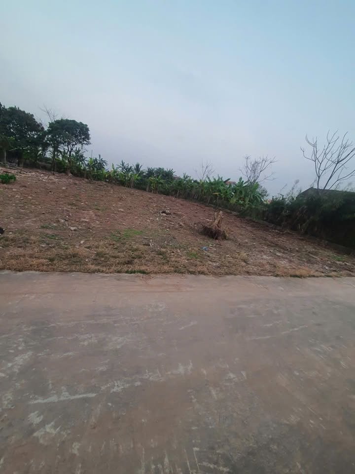 Bán Đất Nghĩa Hưng, Nam Định 241m² - Sổ Đỏ Thổ Cư 100m², Gần Tỉnh Lộ 490C