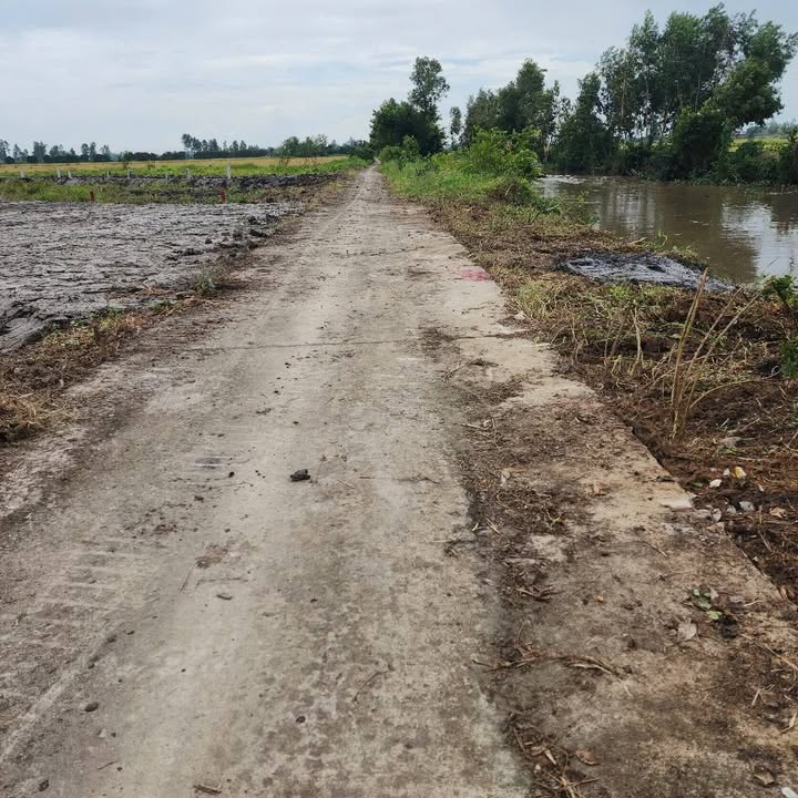 Bán Gấp Nền 290m² Sổ Đỏ Tại Châu Thành, Kiên Giang - Giá Ngộp 175 Triệu