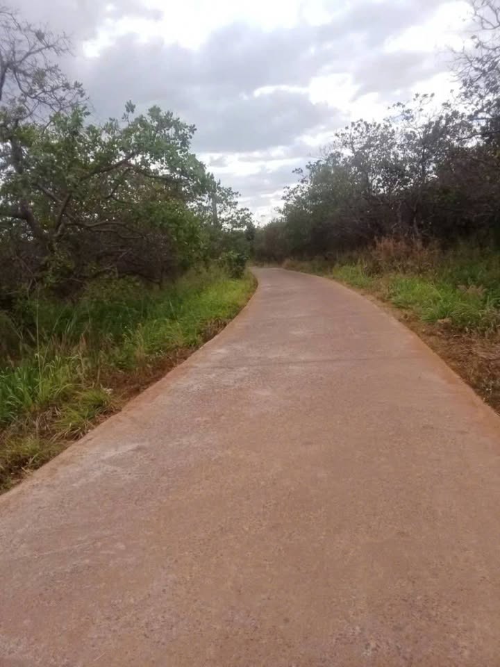 Đất rẫy Buôn Kroa, Ea Kuêh 1.3ha giá 1.5 tỷ - Pháp lý rõ ràng!