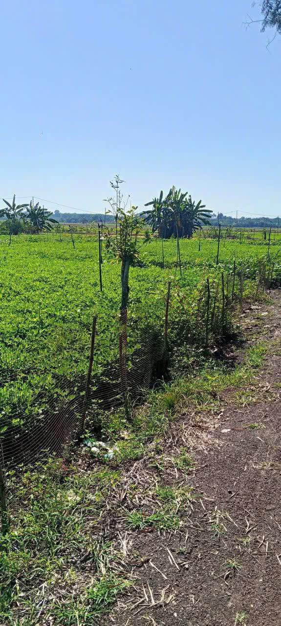 Đất nền Bảo Vinh Long Khánh 1800m² 450 triệu - Sổ đỏ chính chủ