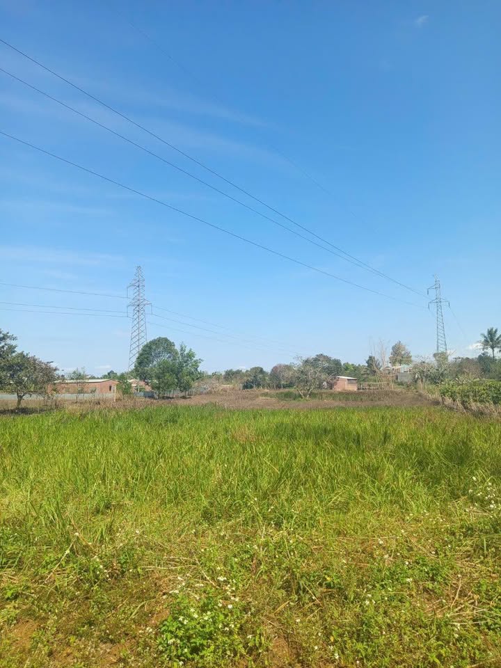 Đất Vườn 5500m² Hai Mặt Tiền Trung Tâm Ea Kar - Giá Đầu Tư 1.35 Tỷ