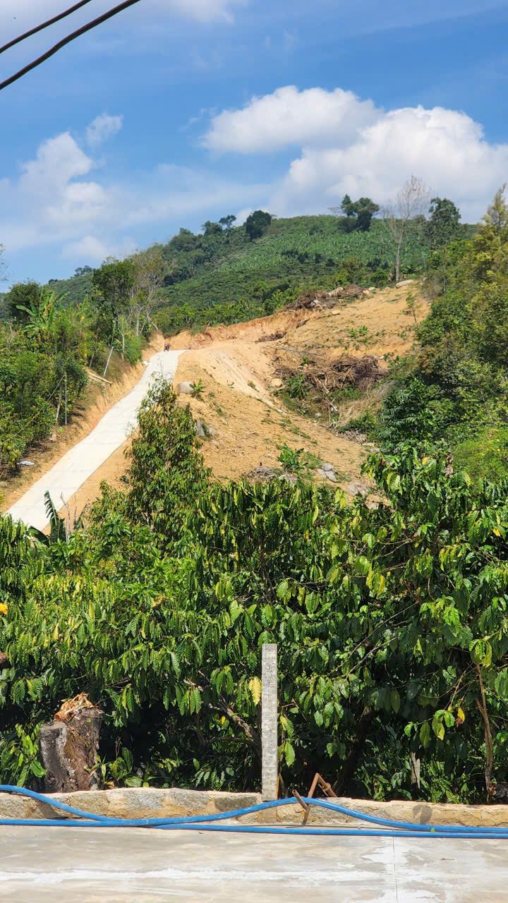 Đất nền Lộc Đức Bảo Lâm 4000m² giá 1.3 tỷ - Tiềm năng tăng giá!