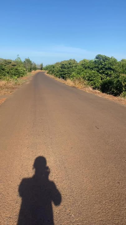 Bán Gấp 3ha Đất Đỏ Xã Phước Tân, Bình Phước - Sổ Sẵn 7.9 Tỷ