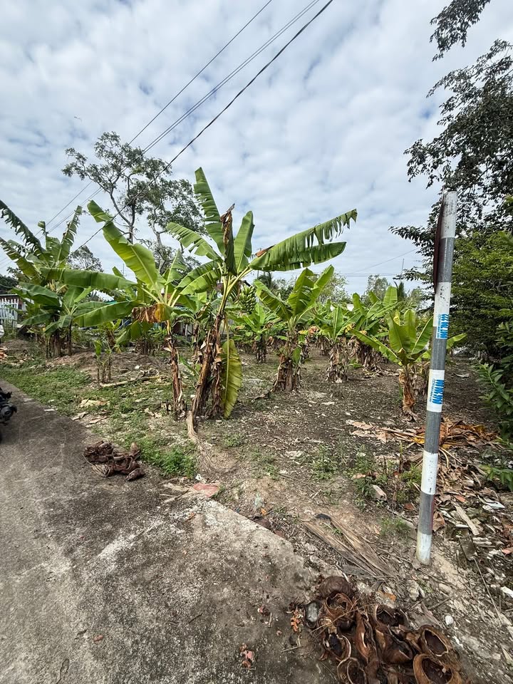 Đất Mặt Tiền Kênh Cái Xoắn Tân Hiệp - 433.8m² - Hướng Đông Nam - 11.2 Tỷ