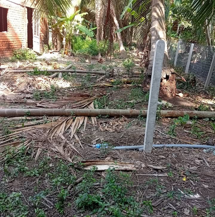 Đất nền Mỏ Cày Bắc 264m² 350 triệu - Sổ đỏ chính chủ!