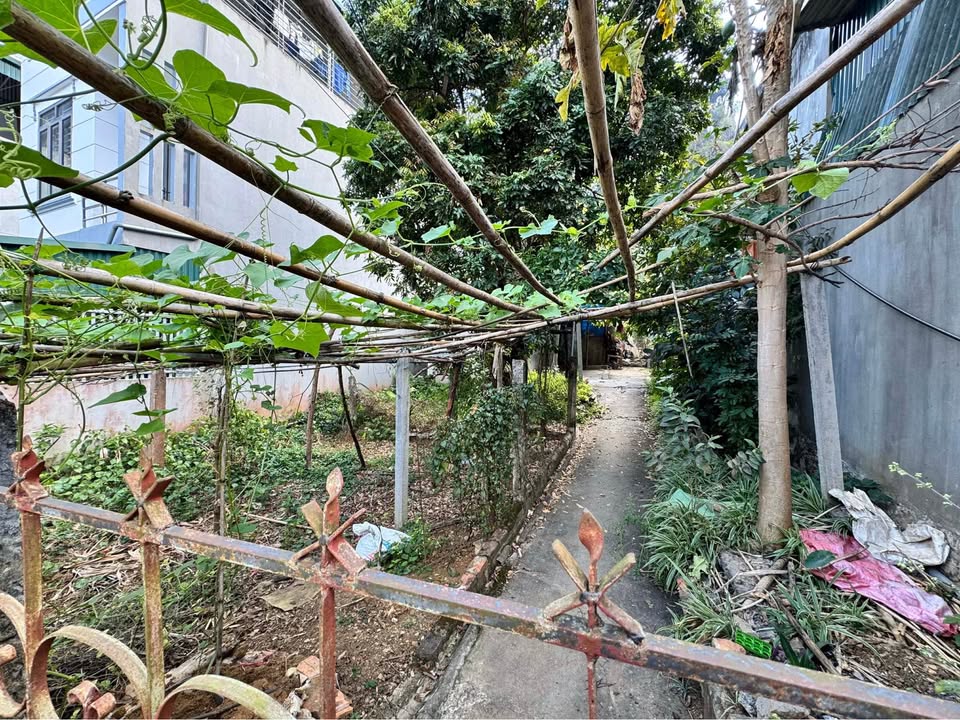 Đất nền Tổ 12 Quyết Thắng Sơn La 100m² 799tr - Sổ đỏ chính chủ