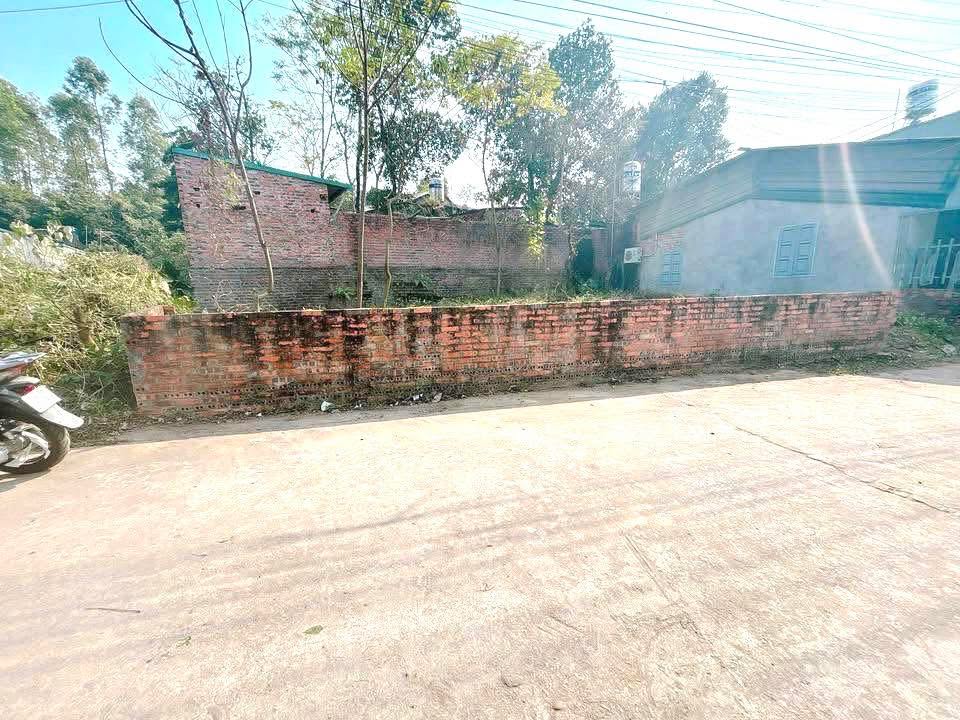 Bán đất 96m² Trục chính Cẩm đội, Việt Trì - Sổ đỏ, Mặt tiền rộng 1.3 tỷ