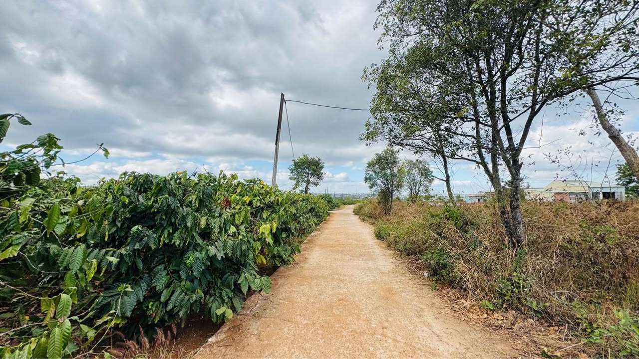 Đất nền Trường Sa, Pleiku 150m² giá 400 triệu - Xây dựng tự do!