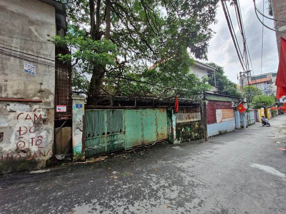 Bán Đất Mặt Phố Thụy Khuê 100m² - Vị Trí Đắc Địa - Thích Hợp Kinh Doanh!