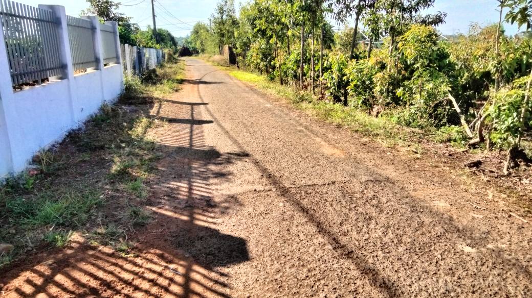 Bán Gấp Farm 5.6 Sào Ia Grai - Có Nhà, Cây Ăn Trái, 400m² Đất Ở