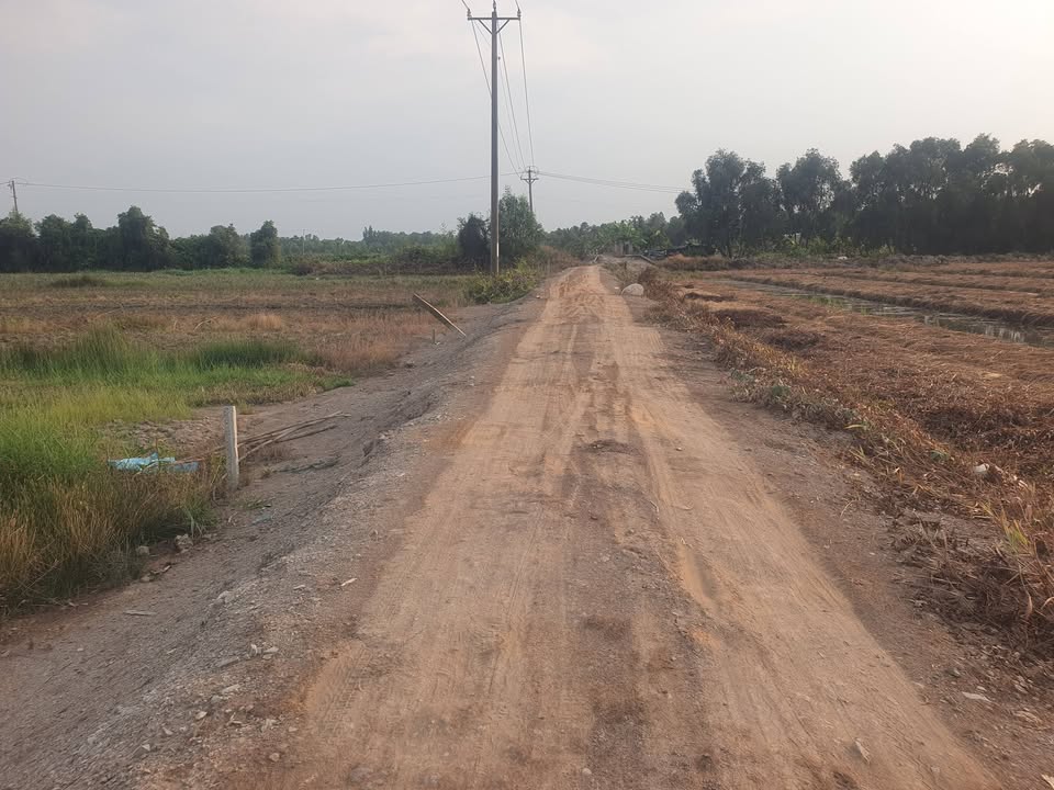 Đất nền Tân Phước Tiền Giang 500m² 249 triệu - Sổ đỏ chính chủ