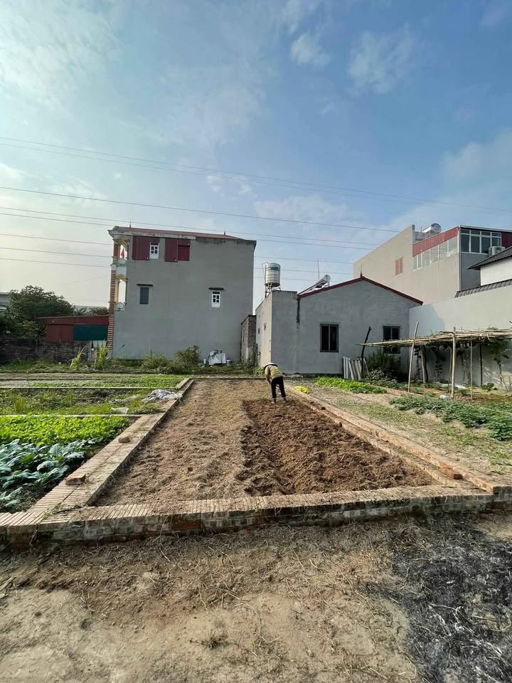 Đất nền Thụy Lâm Đông Anh 61m² - Sổ đỏ chính chủ, gần KCN 300ha