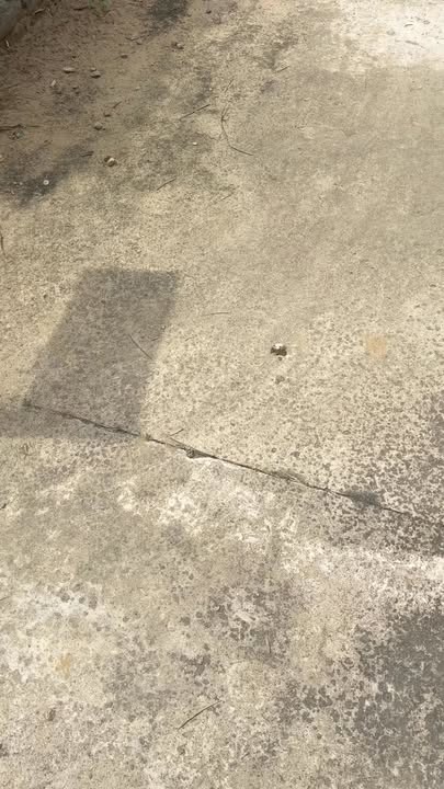 Đất nền Duy Vinh Duy Xuyên 100m² giá 3xx triệu - Sổ hồng chính chủ