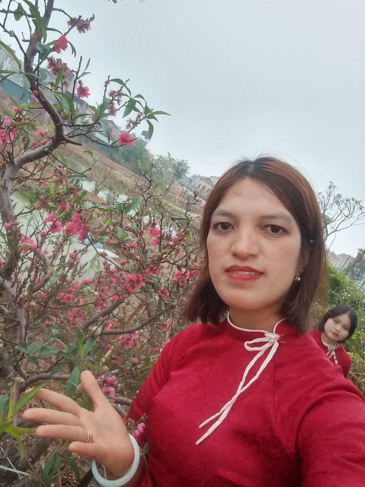 Đất Lô Góc 100m² Sổ Đỏ Chính Chủ Tại Gia Bình, Bắc Ninh - Tiềm Năng Sinh Lời Cao