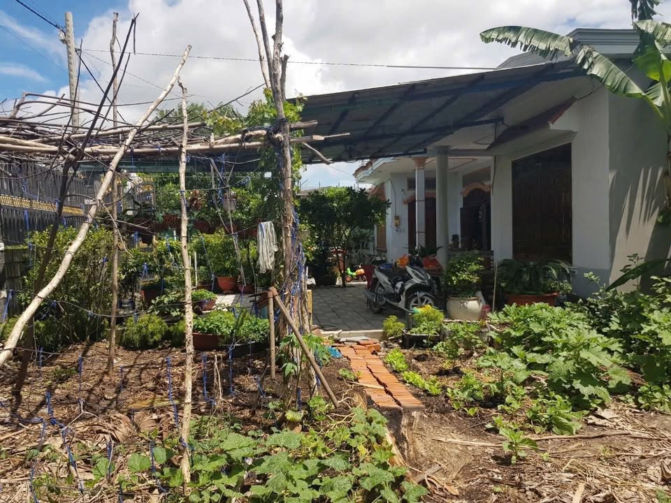 Đất nền Hóc Môn 778m² giá 14.5 tỷ - Tiềm năng tăng giá vượt trội!