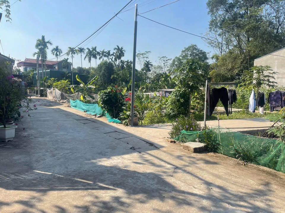 Đất nền Phúc Hòa, Phúc Thọ 54m² - Sổ đỏ chính chủ, ô tô vào tận nơi!