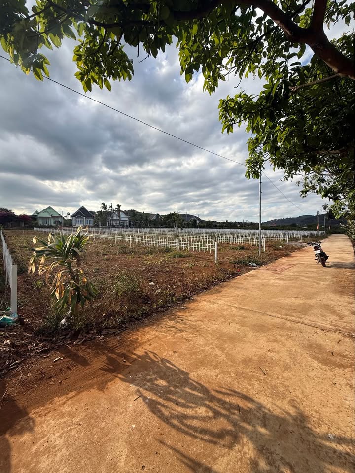 Đất nền Nam Ban, Lâm Hà 2600m² - Sổ đỏ chính chủ, 2.7 tỷ