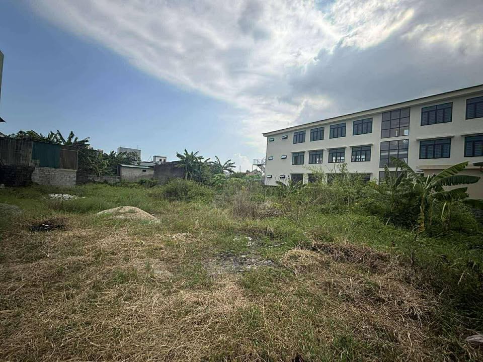 Đất nền Quảng Cát 146m² - Sẵn sàng xây nhà vườn, giá 750 triệu