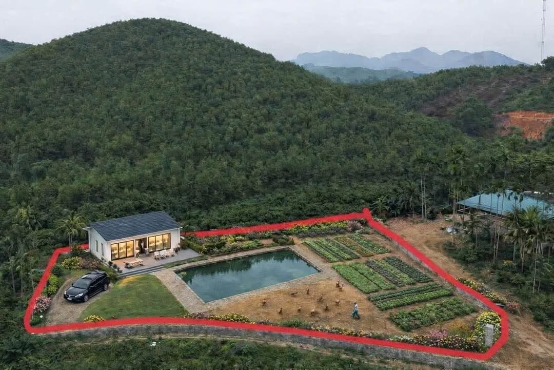 Đất vườn Kim Bôi 1324m² giá 1.6 tỷ - View cánh đồng, 3 mặt tiền cực đẹp