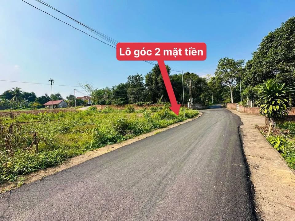 Đất nền Liễn Sơn, Vĩnh Phúc 155m² - Tiềm năng tăng giá vượt trội!