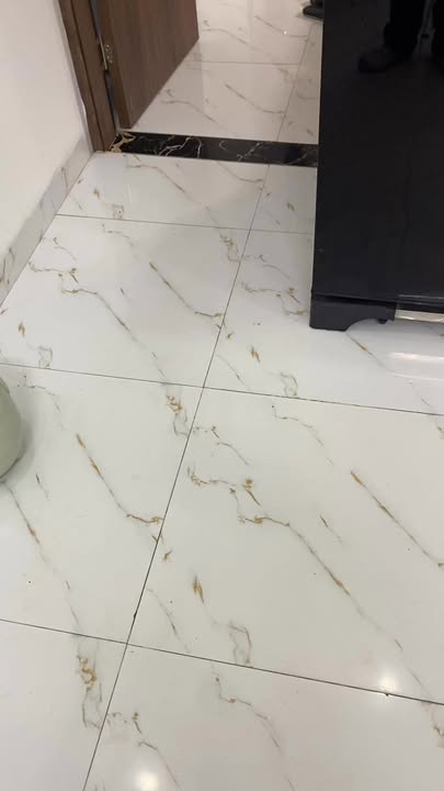 Chung cư mini Chính Kinh - Thanh Xuân, 36m² - Sổ chung, giá 1.75 tỷ