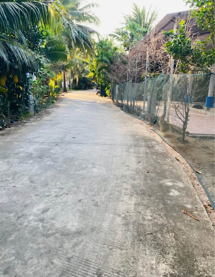 Đất nền Thành phố Bến Tre 520m² - Đường to ô tô, xây biệt thự ngay!