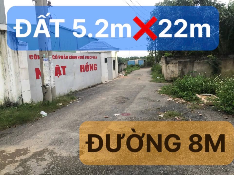 Đất Mặt Tiền Tân Hiệp 20, Hóc Môn - 114m² Thổ Cư, Sổ Hồng Sẵn Sàng