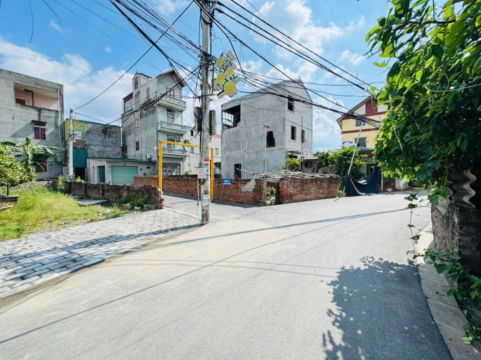 Đất Lô Góc Trục Chính Đồng Nhân Đông Anh - 110m² Kinh Doanh Sầm Uất