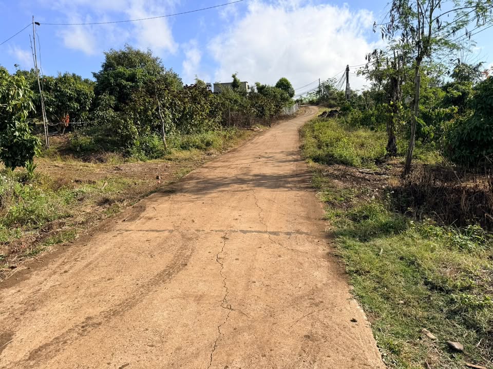 Đất Nông Nghiệp Đắk Lắk - 720m² Bám Đường Bê Tông, Kinh Doanh Vườn Cây Ăn Trái