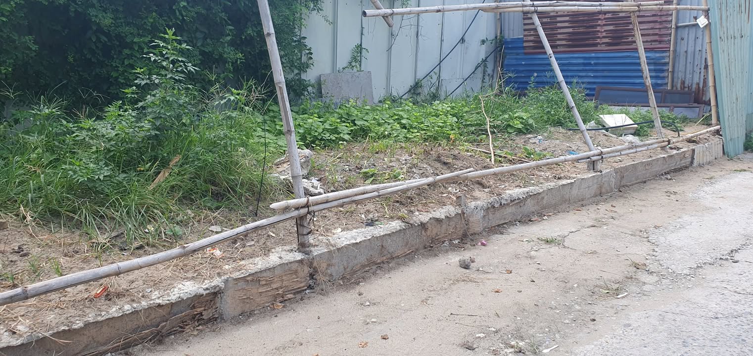 Đất nền Vĩnh Niệm 54m² giá 299 triệu - Đường ô tô thông thoáng