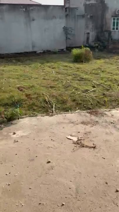 Đất nền Tuy Lộc, Phúc Thọ, Hà Nội 98m² - Tiềm năng tăng giá!