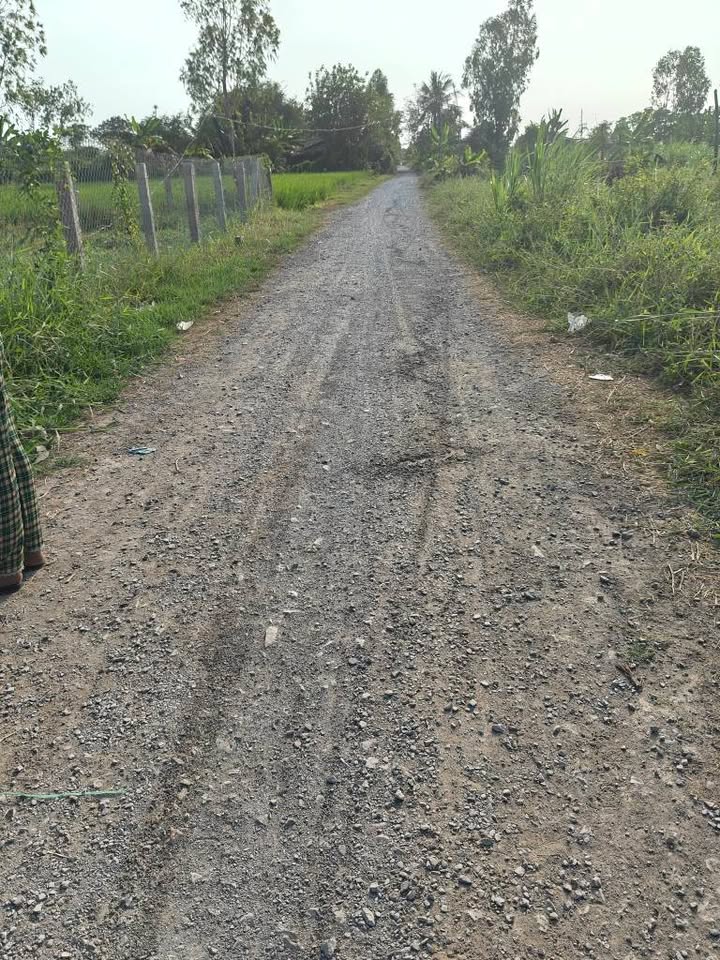 Nhà Riêng Bình Nghị, Gò Công Đông 600m² - Sẵn sàng ở ngay!