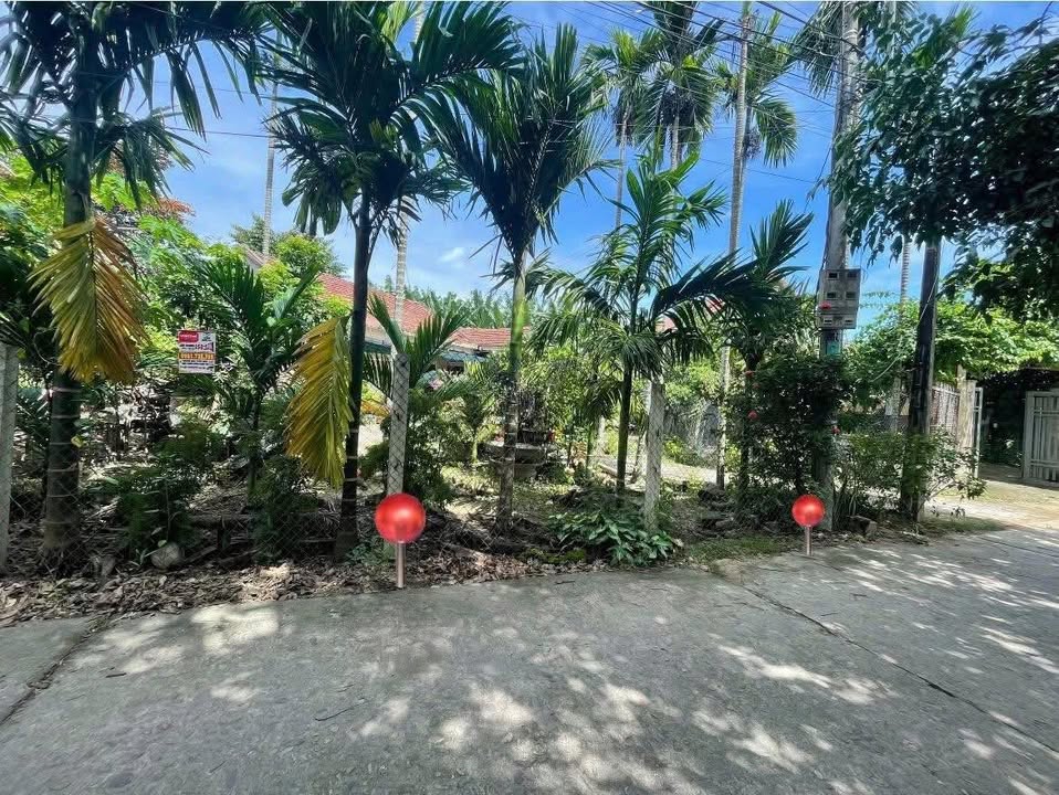 Đất nền Quảng Ngãi 133m² đường Trần Khánh Dư - Hướng Nam mát mẻ