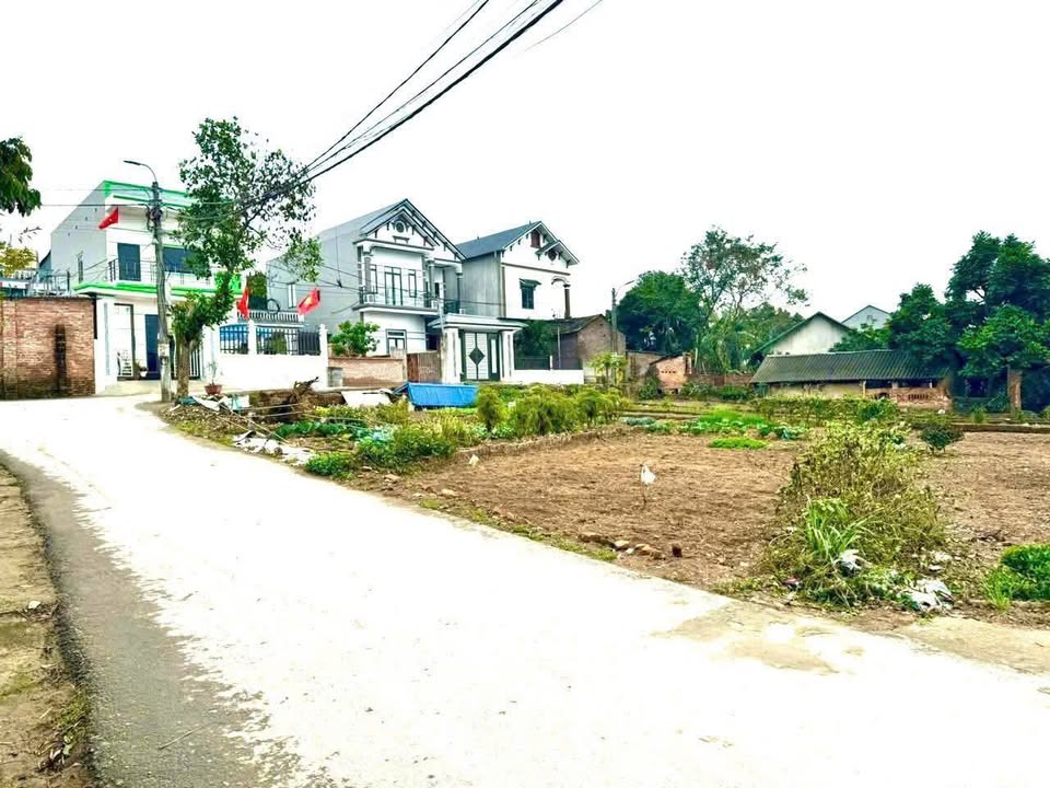 Đất Thị Trấn Hợp Châu 100m² - Sổ Hồng Sẵn Tên, Giá Rẻ Đầu Tư