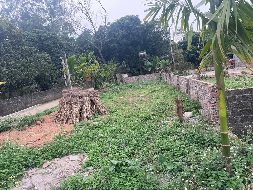 Đất nền Lập Thạch 156m² - Sổ đỏ chính chủ, tiềm năng tăng giá!