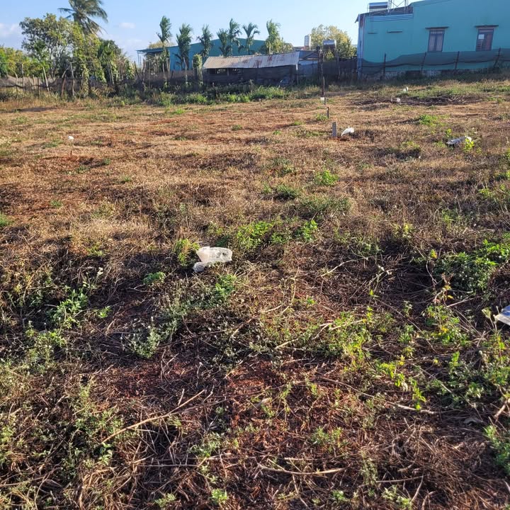 Đất 2 Mặt Tiền Ia Blang, Chư Sê - Giảm Sâu 840 Triệu, Chỉ Còn 1.44 Tỷ