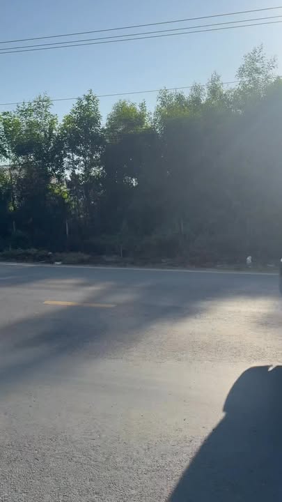 Đất mặt tiền Tỉnh lộ 786 Bến Cầu 900m² - Sổ đỏ chính chủ!