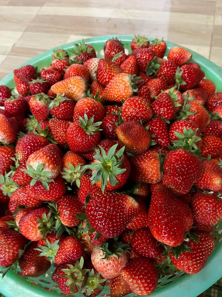 Bán đất 190m² Thị trấn Mộc Châu - Sổ đỏ thổ cư, gần chợ & trường