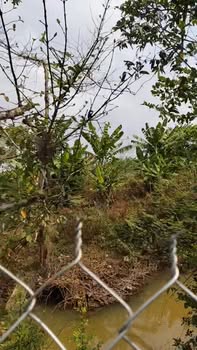 Đất nền Thị trấn Đạ Tẻh 1.6 ha - Tiềm năng tăng giá vượt trội!