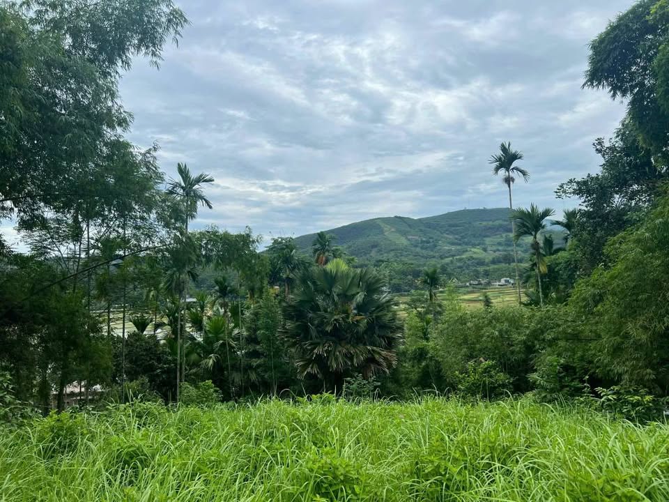 Đất nền Nhân Mỹ, Tân Lạc, Hoà Bình 6000m² - Tiềm năng tăng giá!