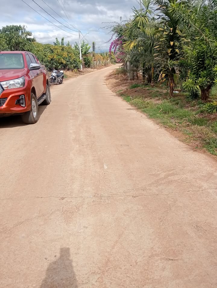 Đất Vườn Hòa Bắc Đà Nẵng 6000m² - Giá Đầu Tư 3.9 Tỷ, Sổ Đỏ Riêng