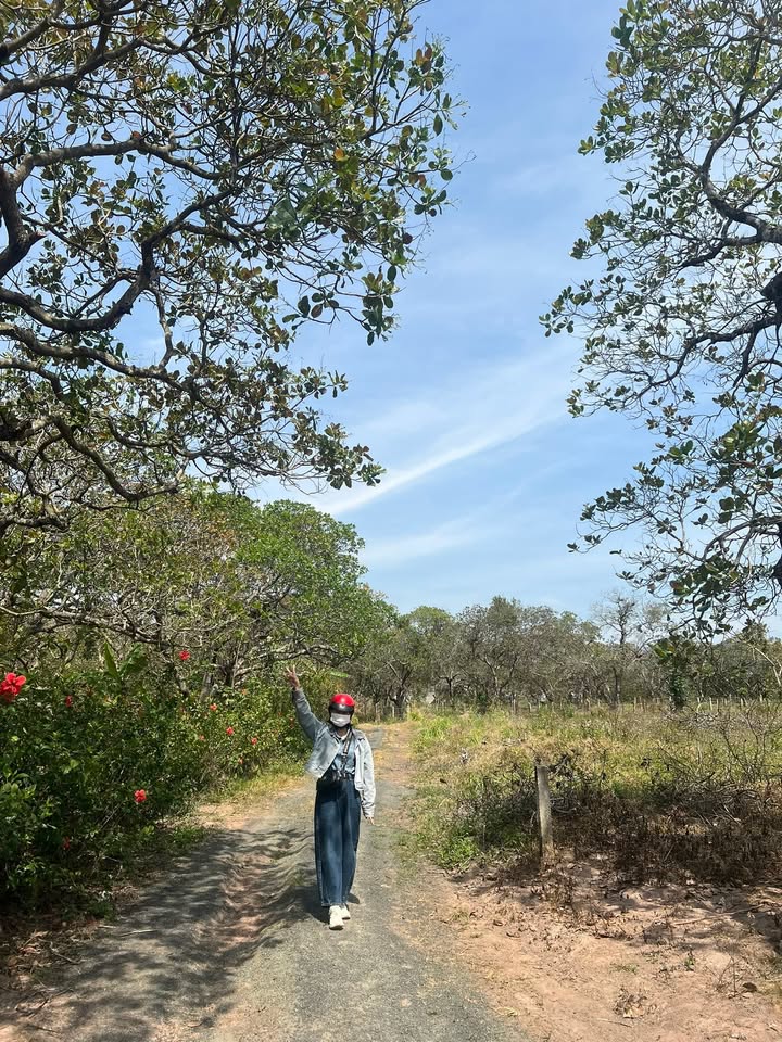 Bán Đất Rẫy 6000m² Ea Đar, Đắk Lắk - Giá 8xx Triệu, Sổ Đỏ Sẵn Sàng