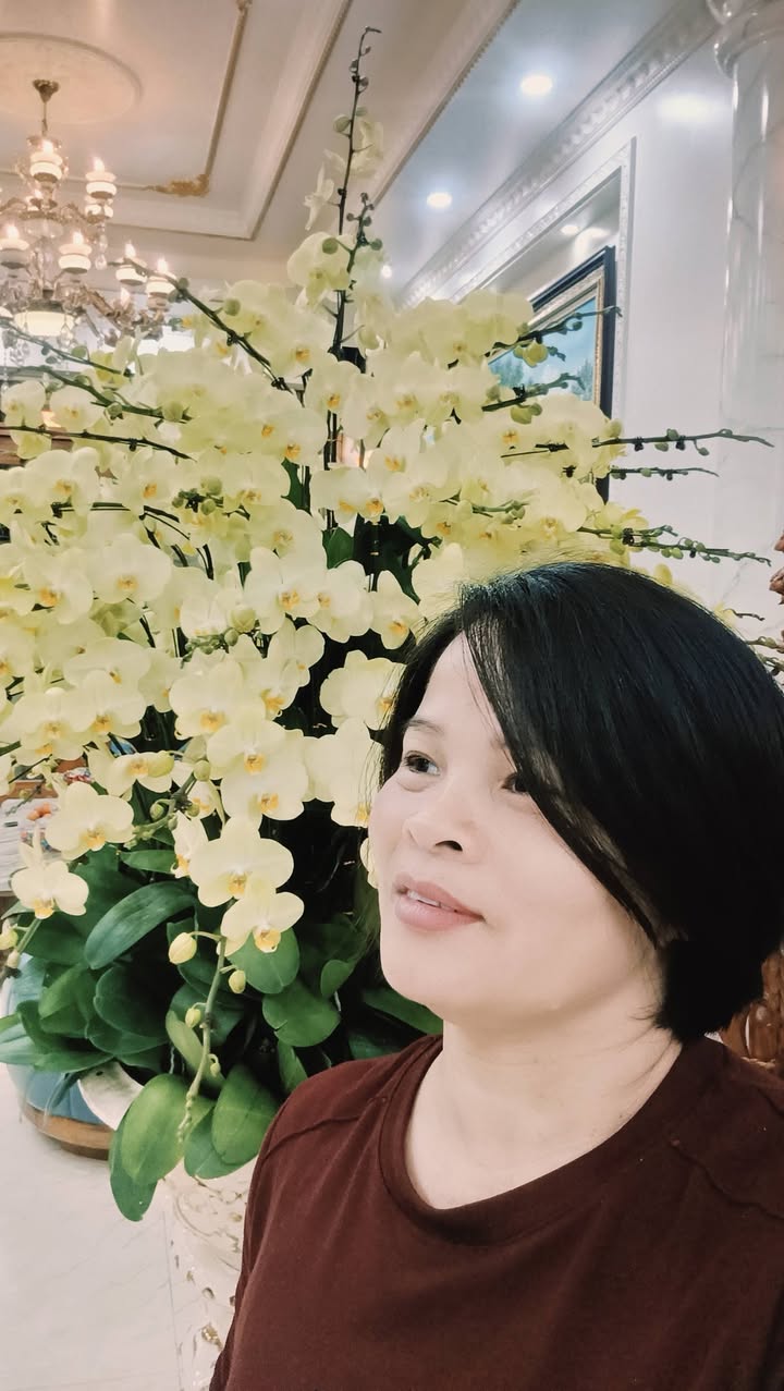 Đất nền Sóc Sơn 150m² - 2 Mặt Ngõ Ô Tô, Sổ Đỏ Chính Chủ