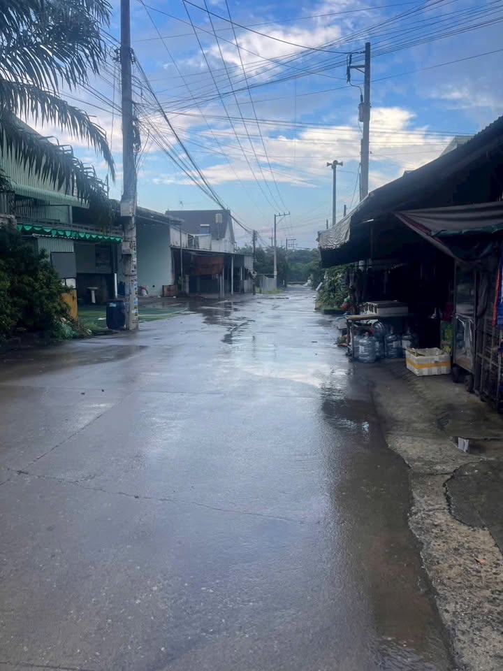 Đất nền Tân Hiệp Tân Uyên 1487m² - Tiềm năng tăng giá vượt trội!